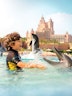 Atlantis Waterpark Tickets
